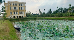 Gửi Tro Cốt Miễn Phí