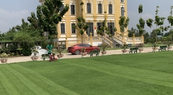 Gửi Tro Cốt Hồ Chí Minh