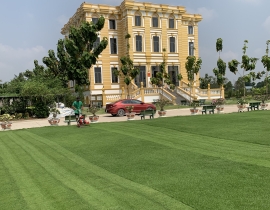 Gửi Tro Cốt Hồ Chí Minh