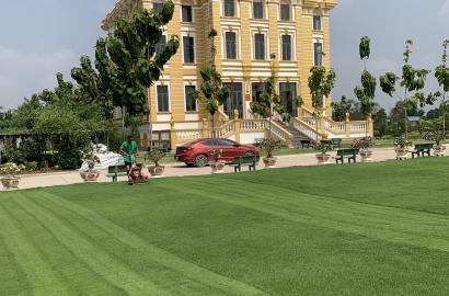 Gửi Tro Cốt Hồ Chí Minh